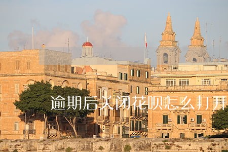 逾期后关闭花呗怎么打开不了了 逾期后关闭花呗怎么打开不了了