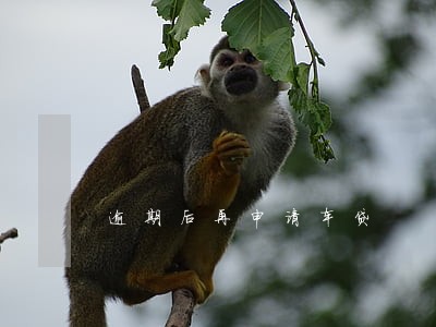 逾期后再申请车贷 逾期后再申请车贷
