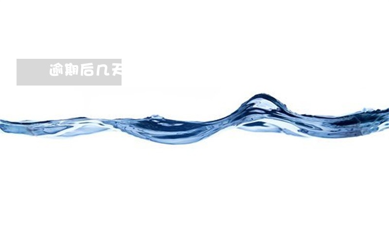 逾期后几天会显示在征信报告里 逾期后几天会显示在征信报告里