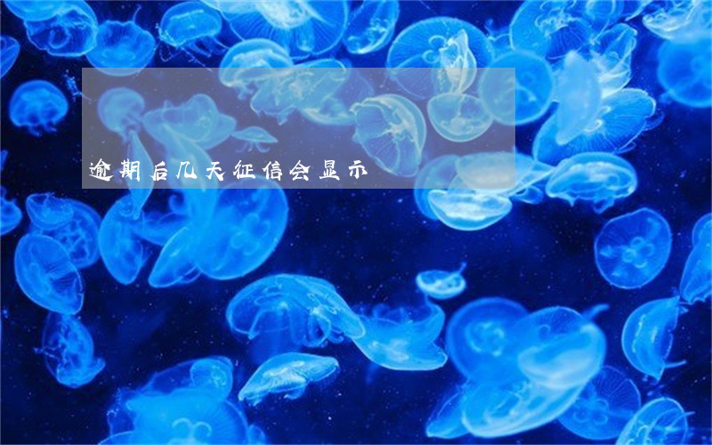 逾期后几天征信会显示 逾期后几天征信会显示