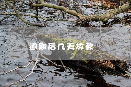 逾期后几天放款 逾期后几天放款