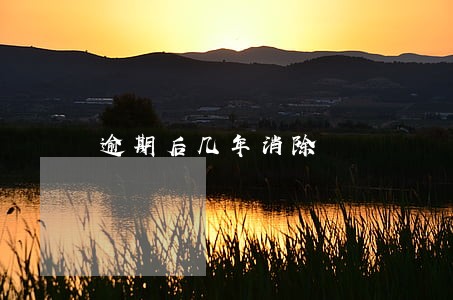 逾期后几年消除 逾期后几年消除