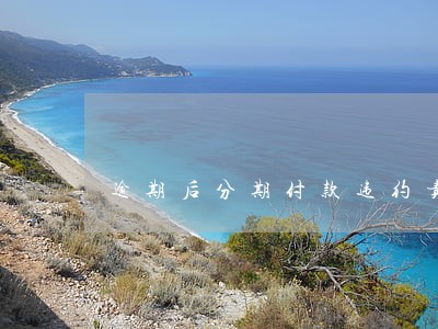 逾期后分期付款违约责任承担 逾期后分期付款违约责任承担