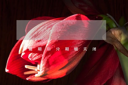 逾期后分期被关闭 逾期后分期被关闭