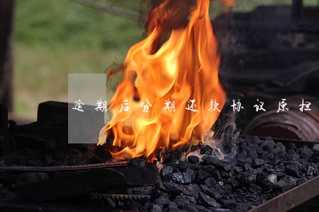 逾期后分期还款协议原担保免责吗 逾期后分期还款协议原担保免责吗