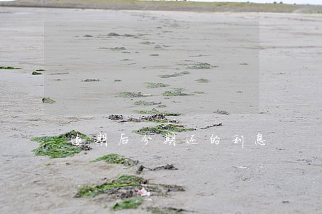 逾期后分期还的利息 逾期后分期还的利息