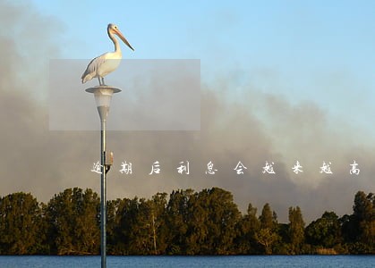 逾期后利息会越来越高吗 逾期后利息会越来越高吗