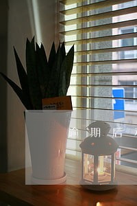 逾期后利息减免 逾期后利息减免