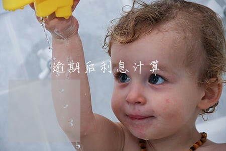 逾期后利息计算 逾期后利息计算