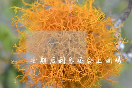 逾期后利息还会上调吗 逾期后利息还会上调吗