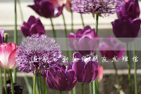 逾期后到处给朋友发短信怎么办 逾期后到处给朋友发短信怎么办