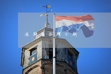 逾期后办理分期 逾期后办理分期