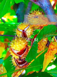 逾期后办理分期还款还要利息吗 逾期后办理分期还款还要利息吗