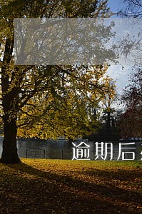 逾期后办理协商分期的途径 逾期后办理协商分期的途径