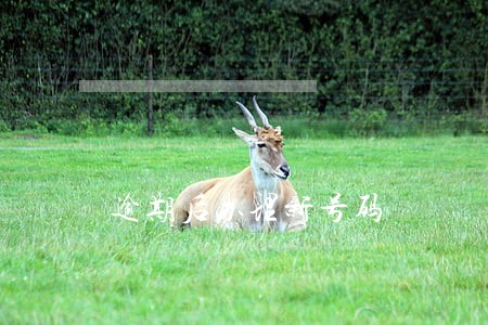 逾期后办理新号码 逾期后办理新号码