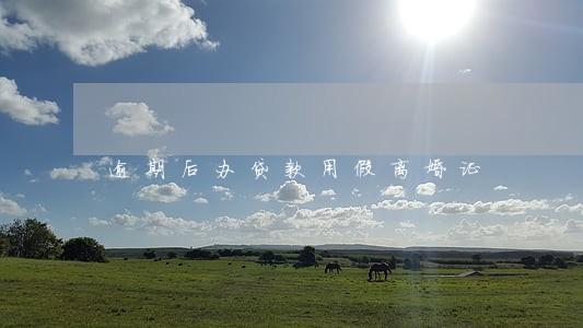 逾期后办贷款用假离婚证 逾期后办贷款用假离婚证