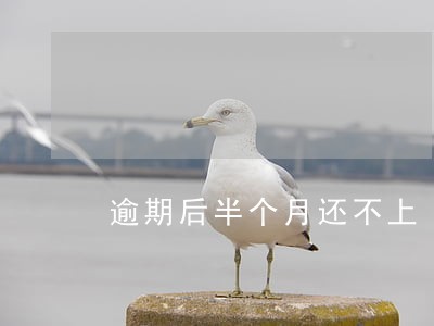 逾期后半个月还不上