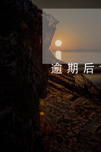 逾期后协商之路 逾期后协商之路