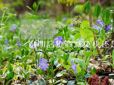 逾期后协商减免快还是分期快 逾期后协商减免快还是分期快