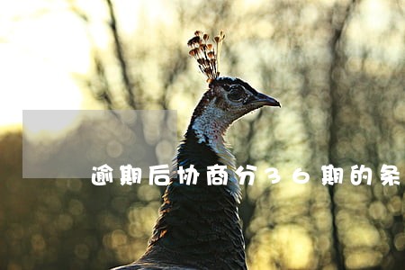 逾期后协商分36期的条件 逾期后协商分36期的条件