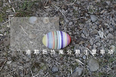 逾期后协商分期注意事项 逾期后协商分期注意事项