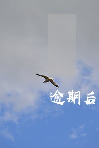 逾期后去银行写证明 逾期后去银行写证明