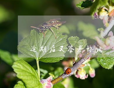 逾期后又签署协议 逾期后又签署协议