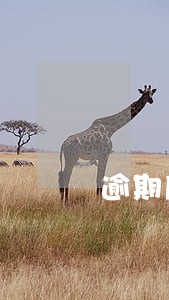 逾期后又还清后征信上有污点吗 逾期后又还清后征信上有污点吗