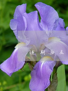 逾期后及时还上会上征信吗 逾期后及时还上会上征信吗