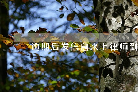 逾期后发信息来上律师到家了 逾期后发信息来上律师到家了