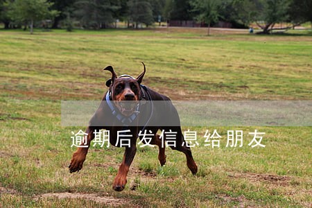 逾期后发信息给朋友 逾期后发信息给朋友