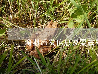 逾期后发信息说要去村里 逾期后发信息说要去村里