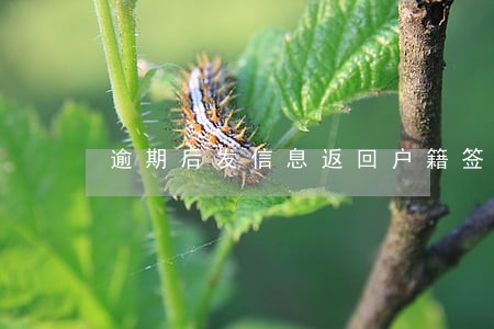 逾期后发信息返回户籍签收文件