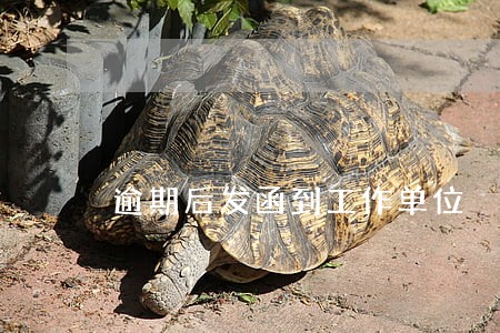 逾期后发函到工作单位 逾期后发函到工作单位