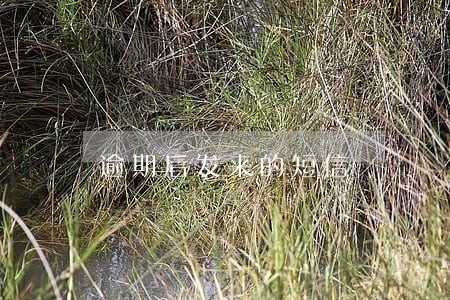 逾期后发来的短信 逾期后发来的短信