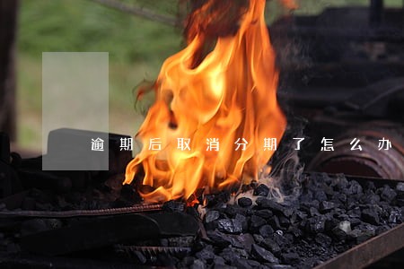 逾期后取消分期了怎么办 逾期后取消分期了怎么办