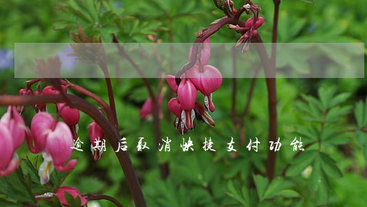 逾期后取消快捷支付功能 逾期后取消快捷支付功能