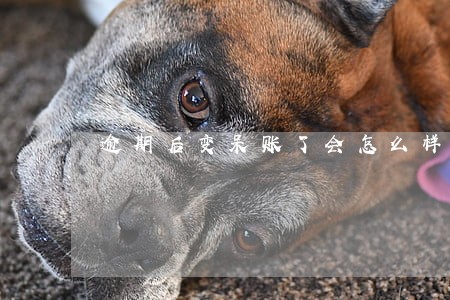 逾期后变呆账了会怎么样 逾期后变呆账了会怎么样