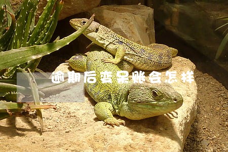 逾期后变呆账会怎样 逾期后变呆账会怎样