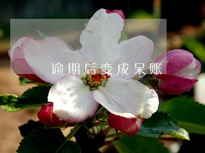 逾期后变成呆账 逾期后变成呆账