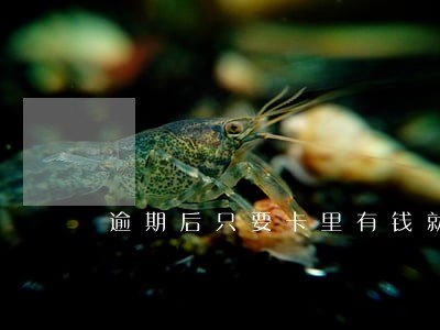 逾期后只要卡里有钱就会扣吗 逾期后只要卡里有钱就会扣吗