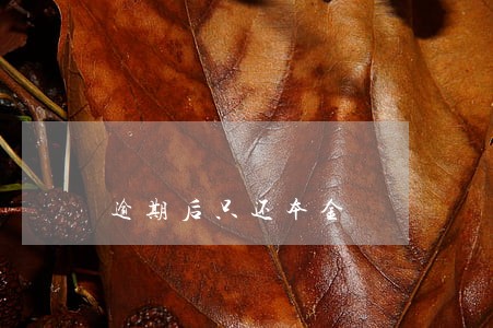 逾期后只还本金 逾期后只还本金