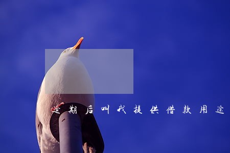 逾期后叫我提供借款用途 逾期后叫我提供借款用途