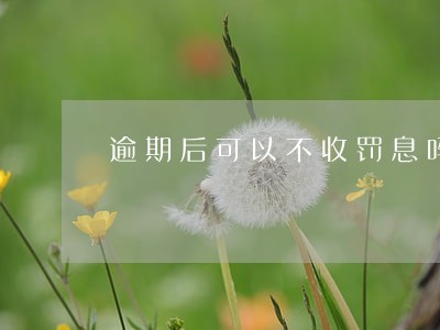 逾期后可以不收罚息吗 逾期后可以不收罚息吗