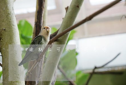 逾期后可以免罚息吗 逾期后可以免罚息吗