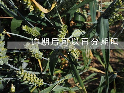 逾期后可以再分期吗 逾期后可以再分期吗