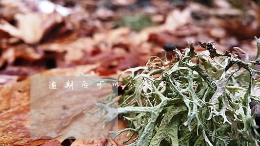 逾期后可以分期买车吗 逾期后可以分期买车吗
