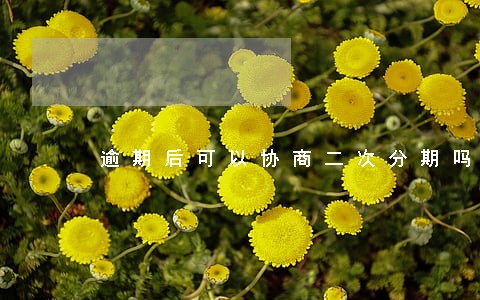 逾期后可以协商二次分期吗 逾期后可以协商二次分期吗