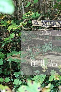 逾期后可以在申请分期还款吗 逾期后可以在申请分期还款吗
