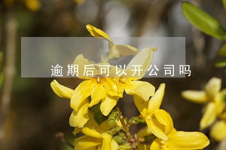 逾期后可以开公司吗 逾期后可以开公司吗